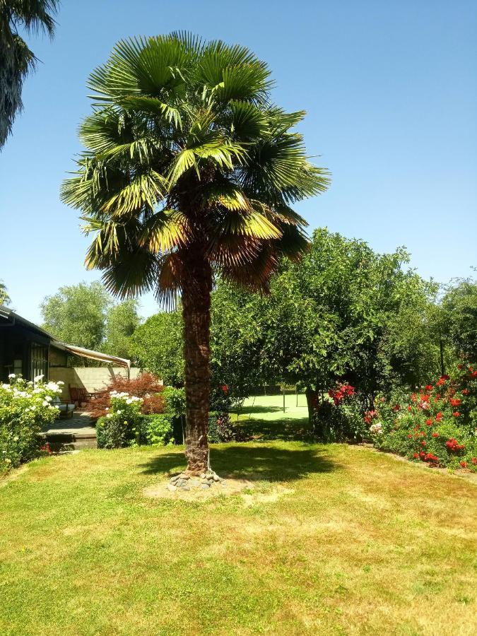 Irongate Retreat Bed and Breakfast Hastings Esterno foto